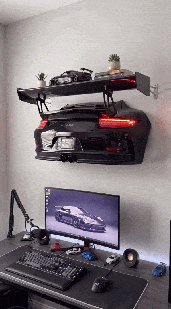 GT3RS WING SHELF